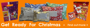 christmas packaging shop