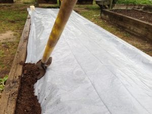 soil solarization