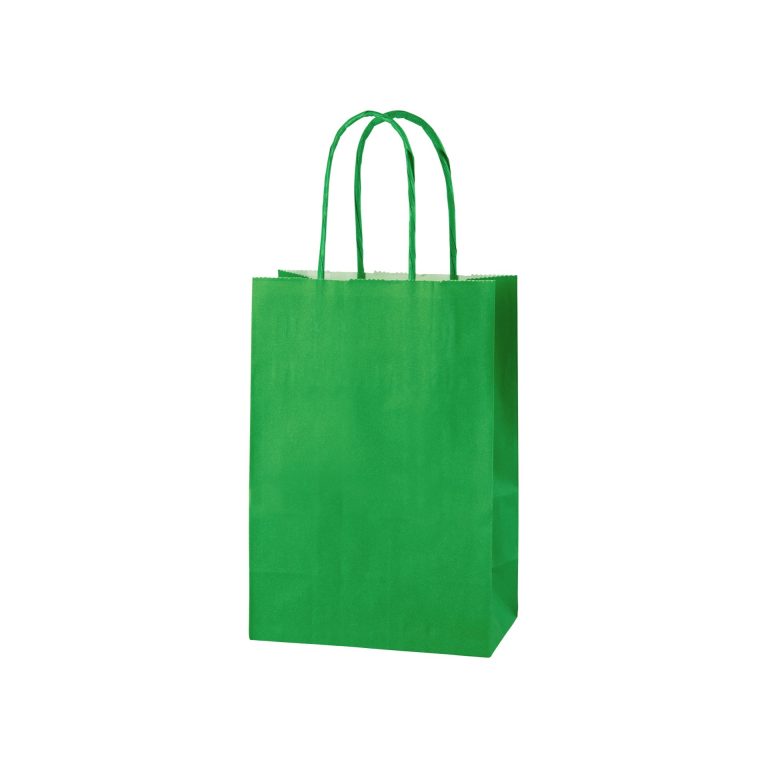 Green Twist Handle Paper Bag