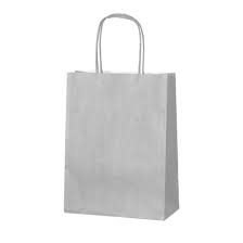 Silver Twist Handle Paper Bag