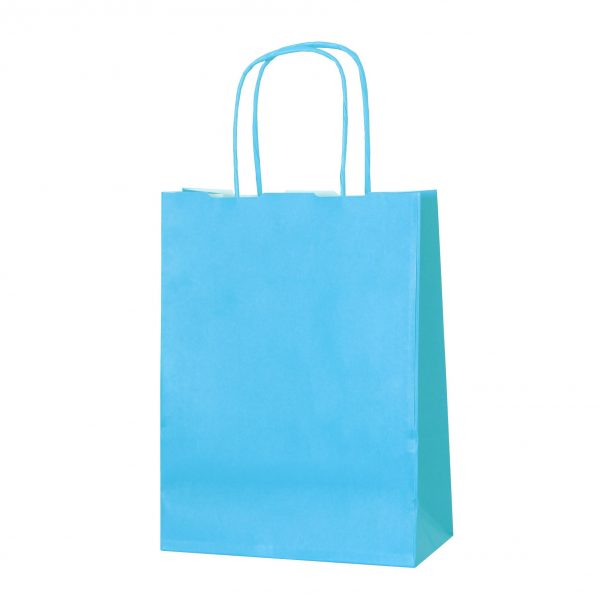 Sky Blue Twist Handle Paper Bag